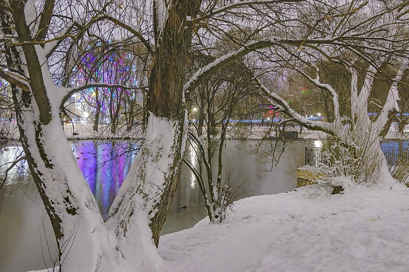File:Верхний пруд зимним вечером.jpg