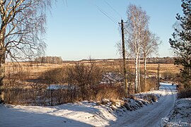 Улица в деревне Гевино