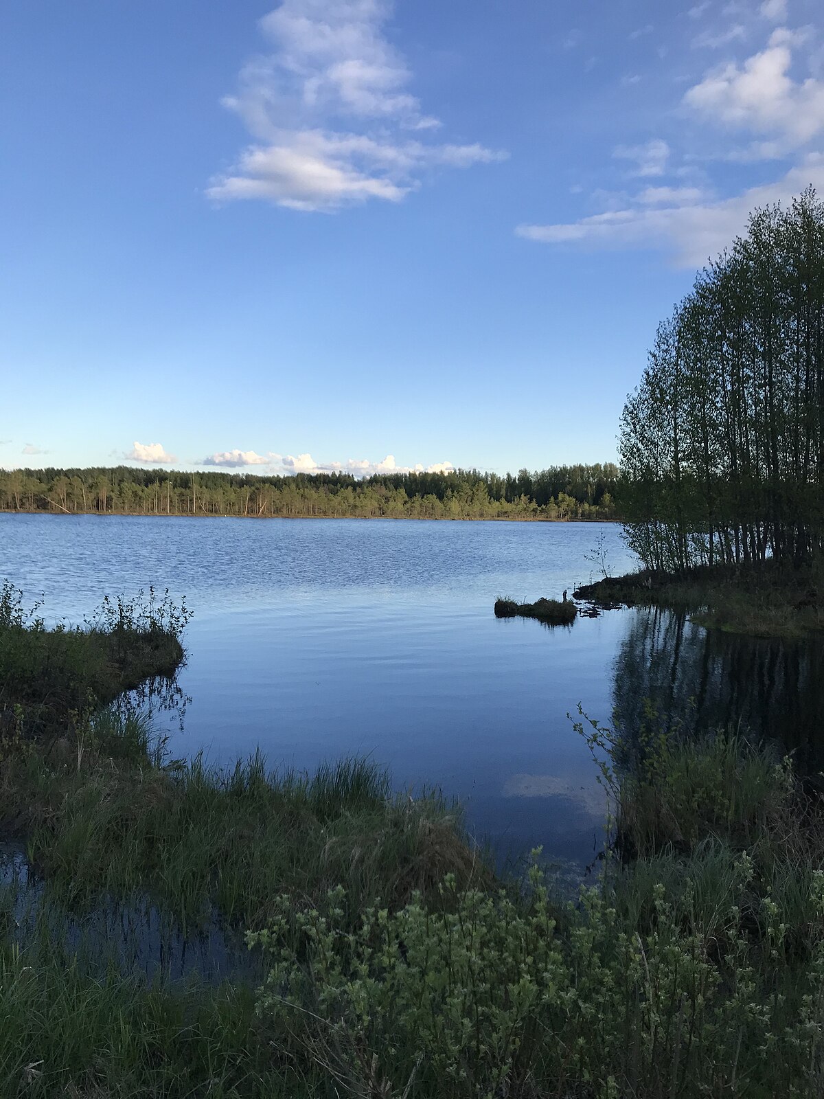 Лежнево вид сверху