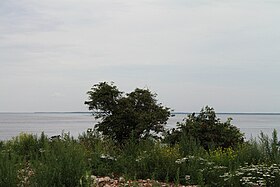 Vista desde la isla Orekhovy hasta el lago Ladoga