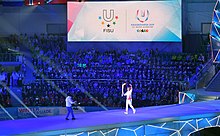 Opening Ceremony of the 2019 Winter Universiade Otkrytie XXIX Vsemirnoi zimnei universiady v Krasnoiarske 05.jpg
