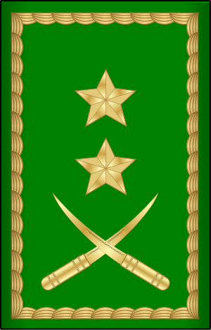 13.Mauritania Air Force-BG.svg