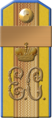 Schouderriem van militaire rang (1911-1912) "Ensign in de positie van sergeant-majoor"