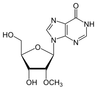 Structural formula of 2′-O-methylinosine