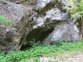 2017-07-23 Steinbachtal at Dürrenstein (Ybbstaler Alpen)