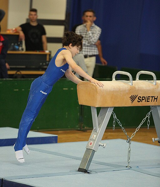 File:2019-05-25 Budapest Cup age group III all-around competition pommel horse (Martin Rulsch) 204.jpg
