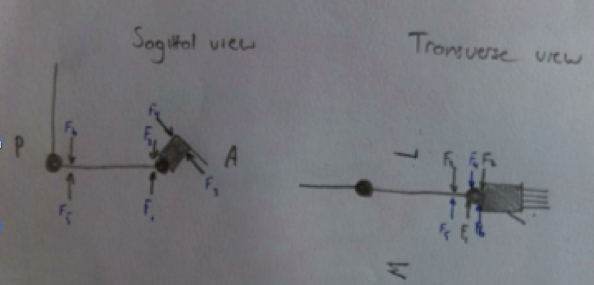 File:3 force diagram.tiff