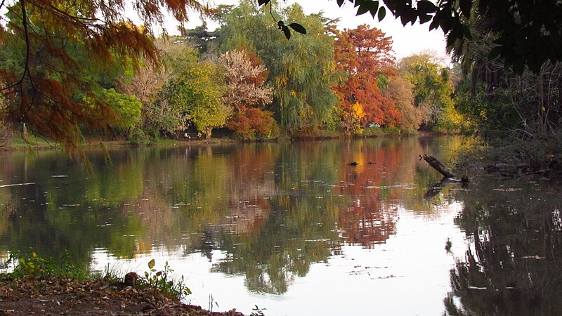 File:9 de Julio, Buenos Aires, Argentina - panoramio (32).jpg