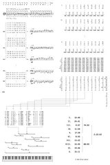 Structure Of Abacus