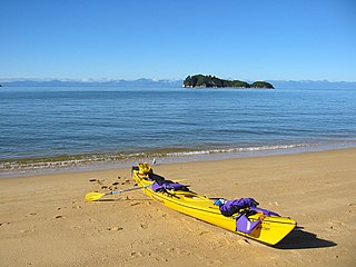 <span class="mw-page-title-main">Fisherman Island (New Zealand)</span> Island in the Tasman District, New Zealand