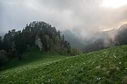 Adigueia: Geografia, História, Política