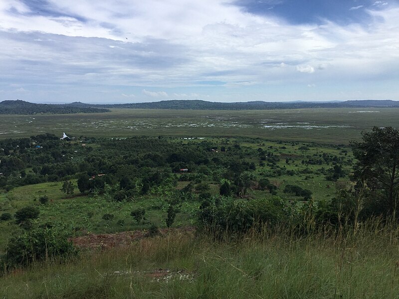 File:After heavy rains Mabamba bay ramsar site.jpg