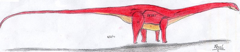 File:Amphicoelias.jpg