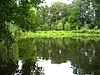 Lake of the fishing school in the Nettetal