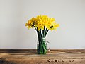 "Annie_Spratt_2017-01-26_(Unsplash_gXQCELcnI2U).jpg" by User:Fæ