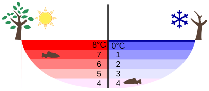 Anomalous expansion of water Summer Winter.svg