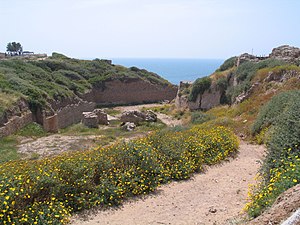 Apollonie (Israël)