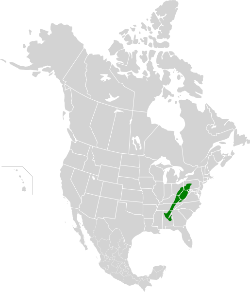 File:Appalachian mixed mesophytic forests map.svg