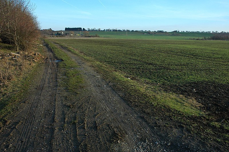 File:Arable land and Longdon Hill - geograph.org.uk - 2254574.jpg