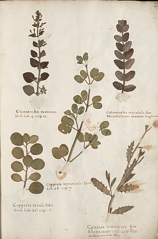 <span class="mw-page-title-main">Herbarium</span> Scientific collection of dried plants