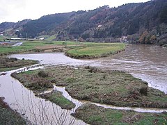 Marismas del río Artibai en Ondarroa, (Vizcaya, País Vasco España)
