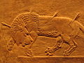 120px-Assyrian_royal_lion_hunt.jpg