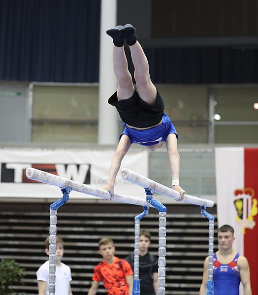File:Austrian Future Cup 2018-11-23 Training Afternoon Parallel bars (Martin Rulsch) 0839.jpg