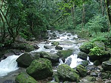 Il fiume Bagmati nei pressi di Sundarijal