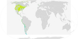 Baird's Sandpiper ebird data map.png