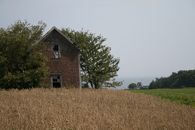 File:Barn and Windmill.JPG