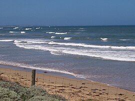 Beach, Ocean Grove, Victoria Australia 000 0137.JPG