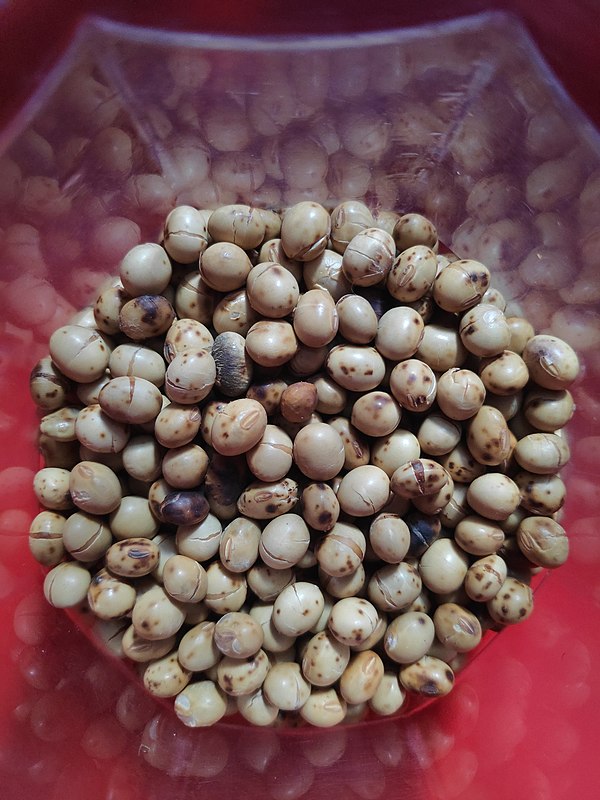 Bhatmaas – Nepali fried soybeans