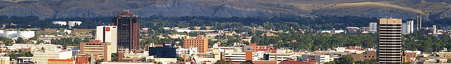 Billings page banner