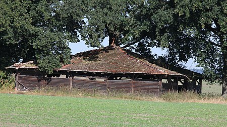 Birkenmoor Schafstall