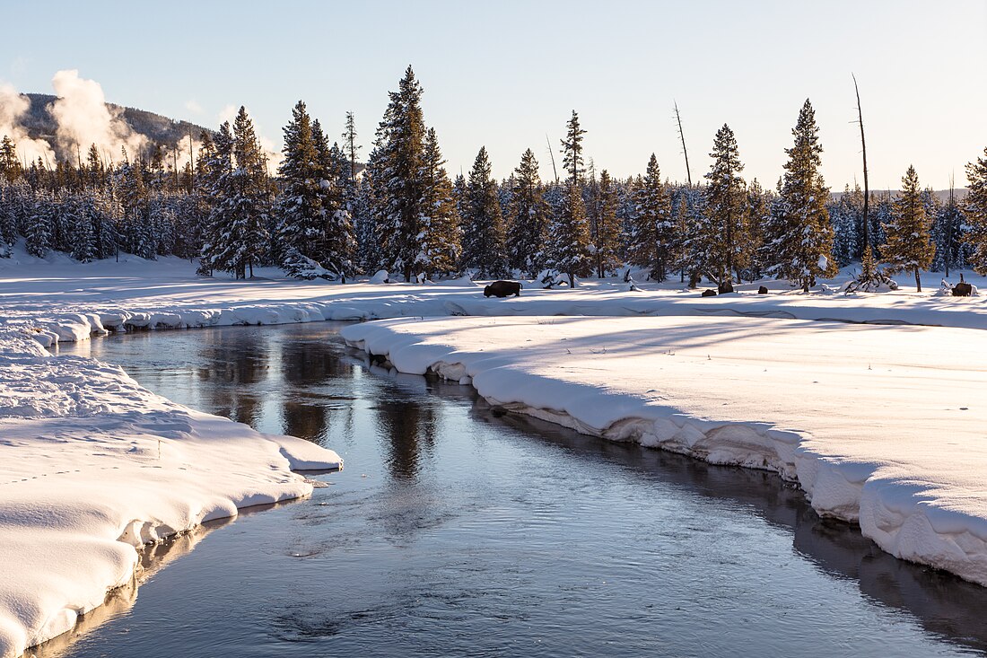 Gibbon River