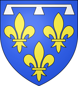 Description de l'image Blason duche fr Orleans (moderne).svg.