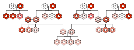 Flowers would converge to a single coloration in a few generations if inheritance blended the characteristics of the two parents. Blending inheritance.svg