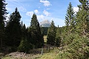 Blick auf Hohe Munde Seefeld