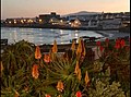 Bloubergstrand at sunset.jpg