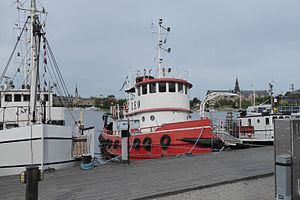 M/S Leo vid Brobänken på Skeppsholmen, Stockholm