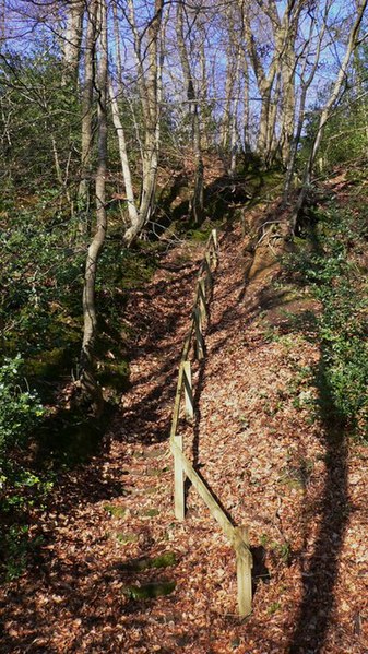 File:Bottom of the Milland Steps - geograph.org.uk - 1153883.jpg