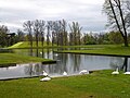 Thumbnail for File:Boughton House - Swans on Dead Reach and Broadwater Lake - geograph.org.uk - 5356774.jpg