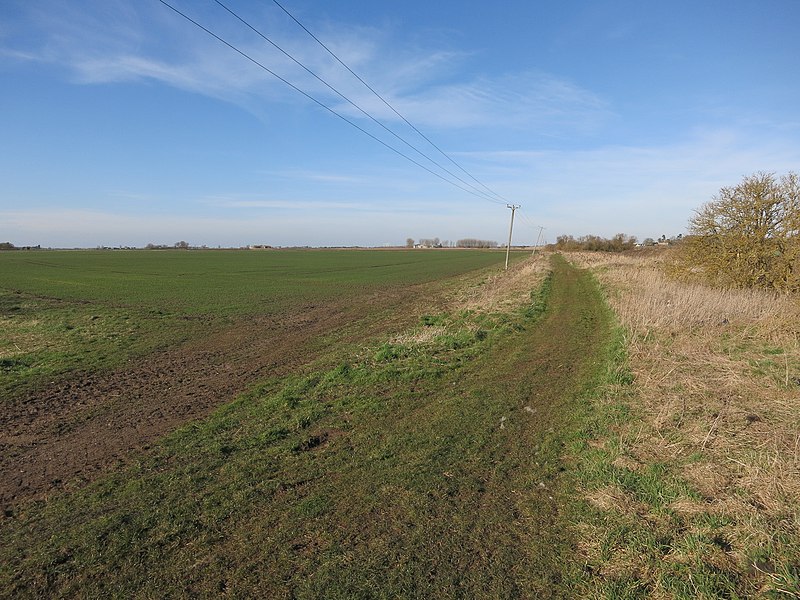 File:Bridleway along the old railway line - geograph.org.uk - 4393758.jpg