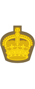 Британская армия (1920-1953) OR-7.svg