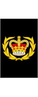 File:British Royal Navy OR-8.svg