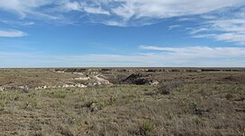 Danau Buffalo Texas Canyon 2009.jpg