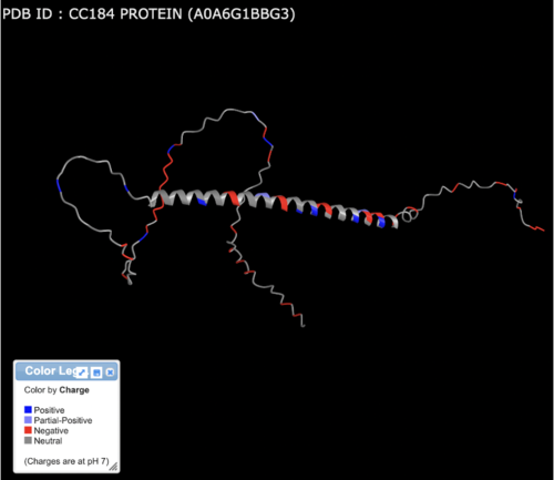 AlphaFold figure indicates 3D model of CCDC184. The colors indicate the charged regions of the structure. CCDC184 AlphaFold figure.png