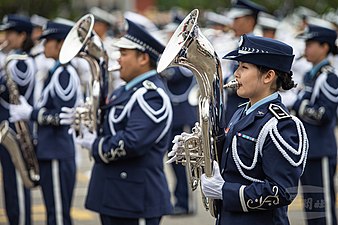 国防部三军联合乐仪队10日在国庆典礼上演出，乐队演奏磅礡乐曲，搭配仪队操枪及队形变换，展现官兵勤训精练的成果。