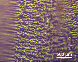 CMOS domains shape memory alloy.jpg