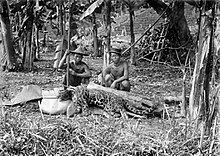 Dva domorodci pózují s mrtvým levhartem Diardovým. Černobílá fotografie ze Sumatry z počátku 20. století.